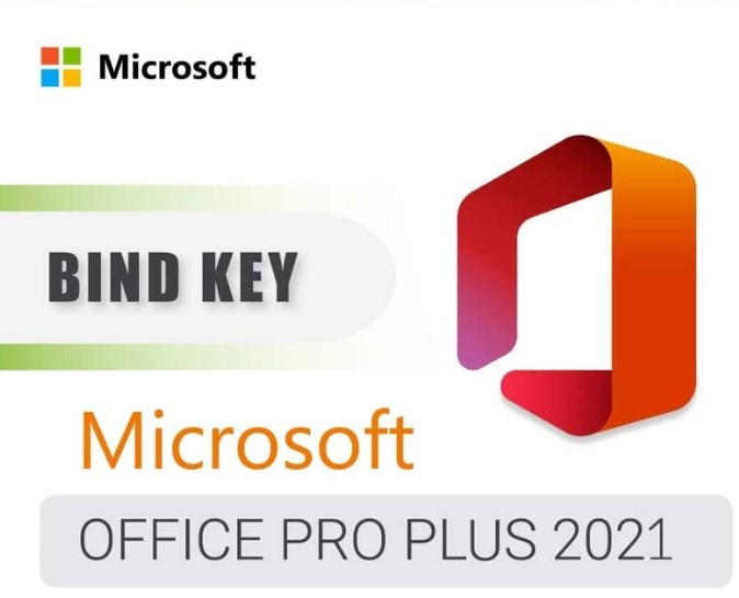 Software - Microsoft Office 2021 Pro Plus Digital - Bind Key